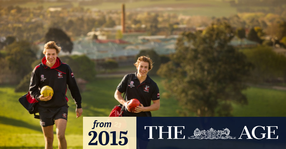 Harry and Ben McKay have talent spotters looking twice ahead of AFL national draft